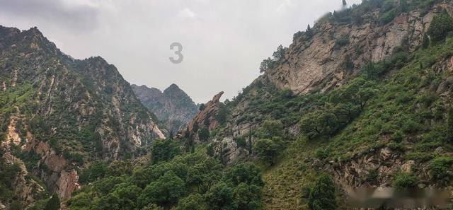 全民剧本大师内置菜单